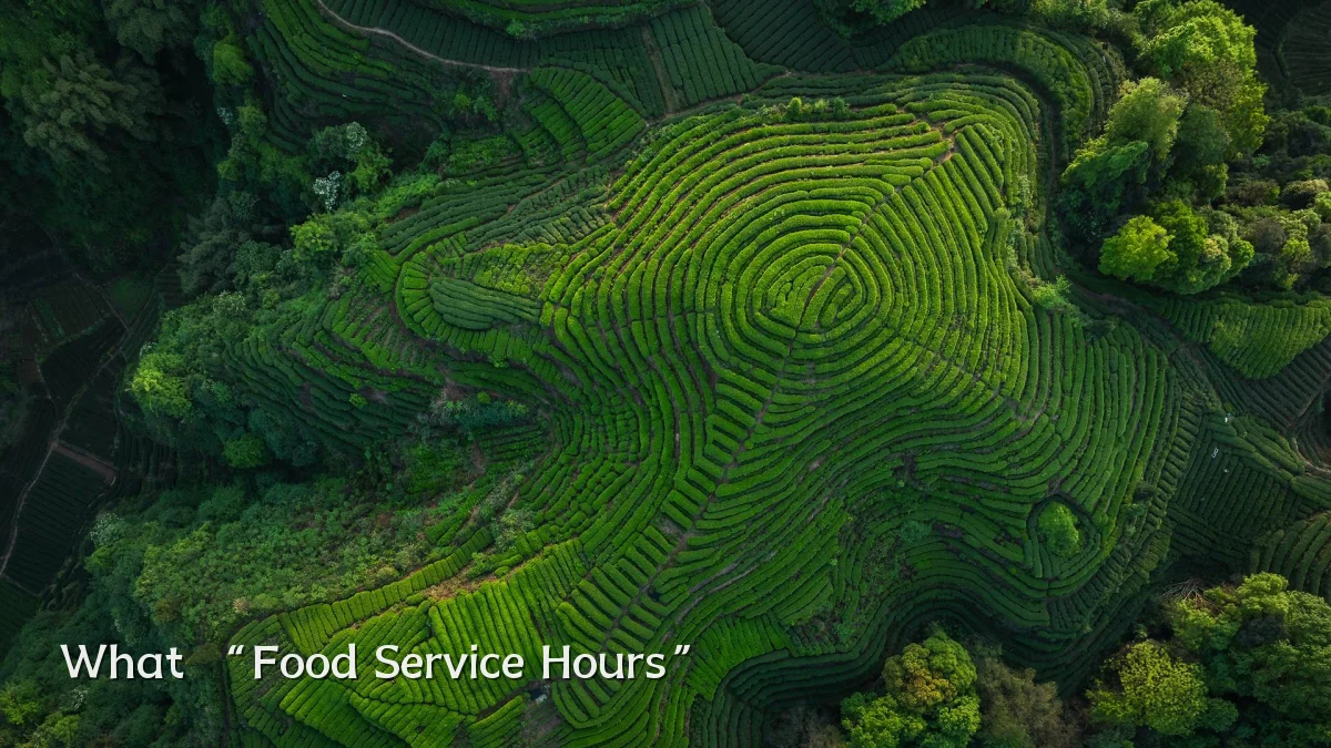 What “Food Service Hours”