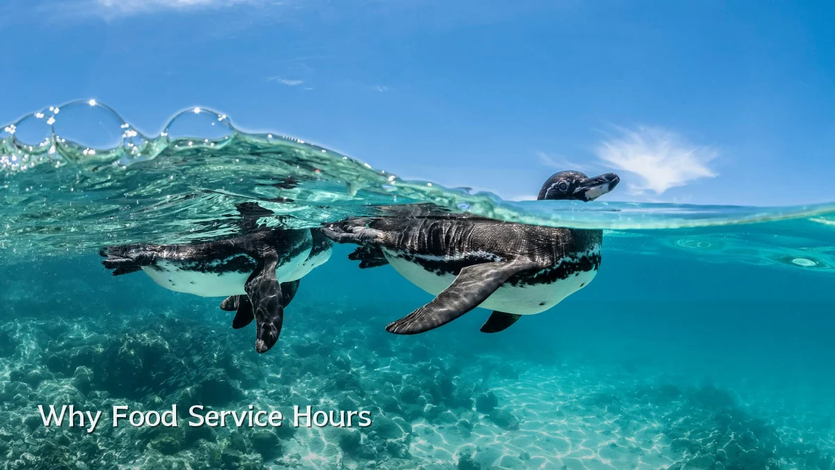 Why Food Service Hours