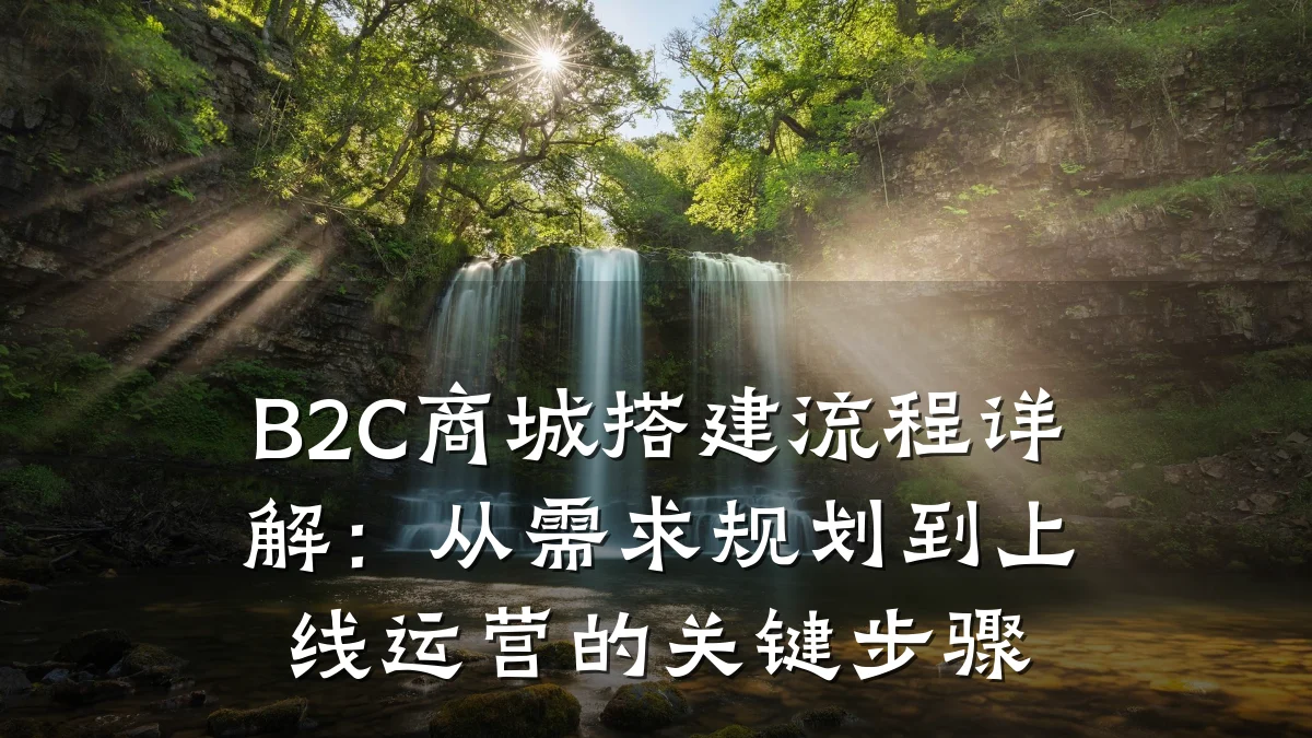B2C商城搭建流程详解：从需求规划到上线运营的关键步骤