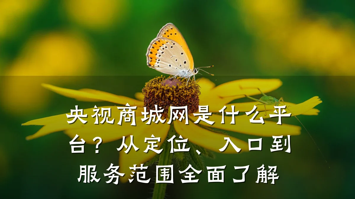 央视商城网是什么平台？从定位、入口到服务范围全面了解