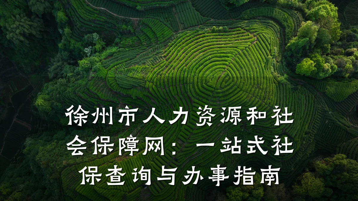 徐州市人力资源和社会保障网:一站式社保查询与办事指南