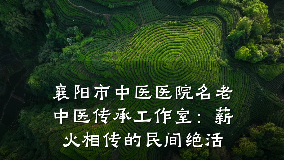 襄阳市中医医院名老中医传承工作室:薪火相传的民间绝活