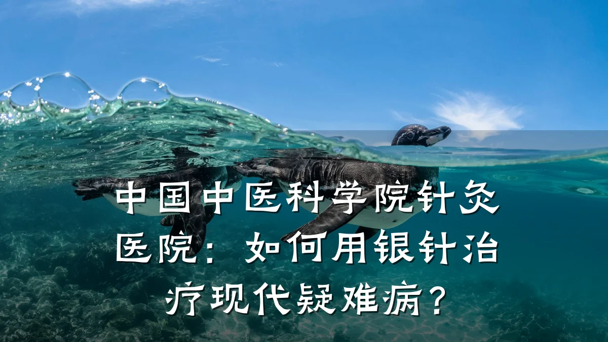 中国中医科学院针灸医院：如何用银针治疗现代疑难病？