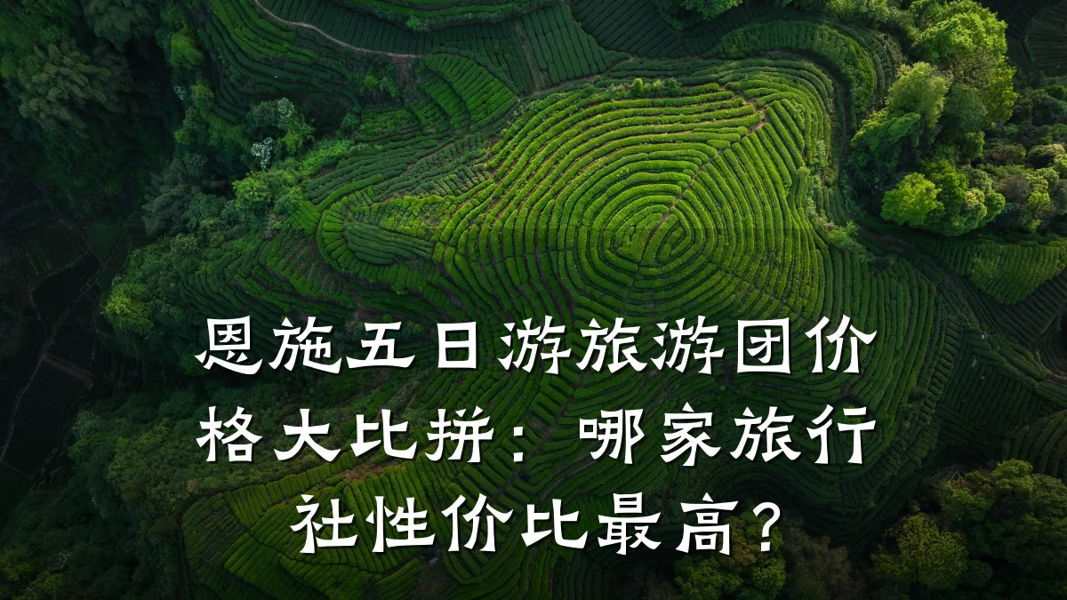 恩施五日游旅游团价格大比拼：哪家旅行社性价比最高？
