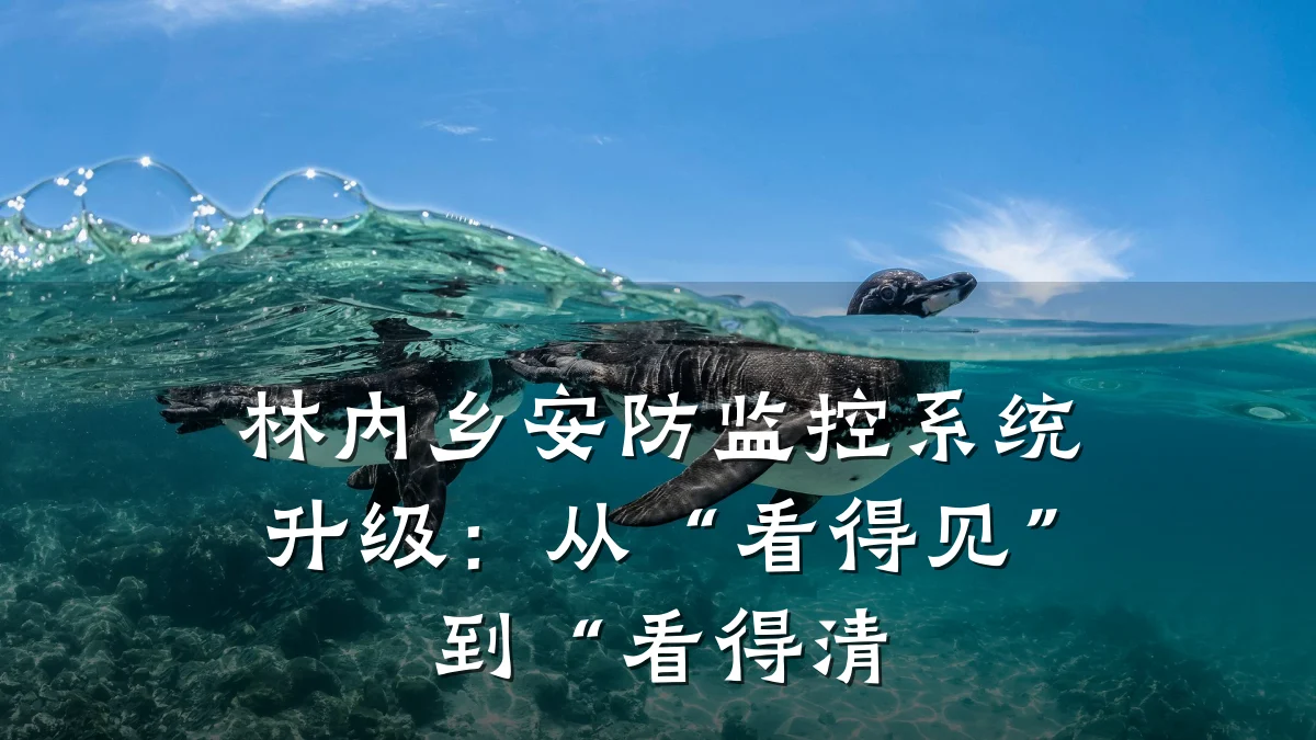 林内乡安防监控系统升级：从“看得见”到“看得清