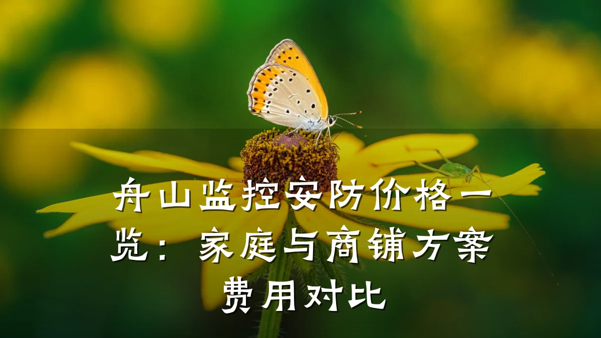 舟山监控安防价格一览：家庭与商铺方案费用对比