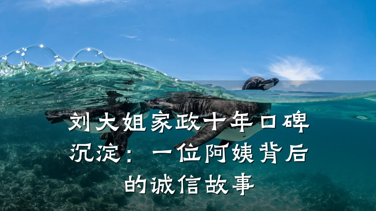 刘大姐家政十年口碑沉淀:一位阿姨背后的诚信故事