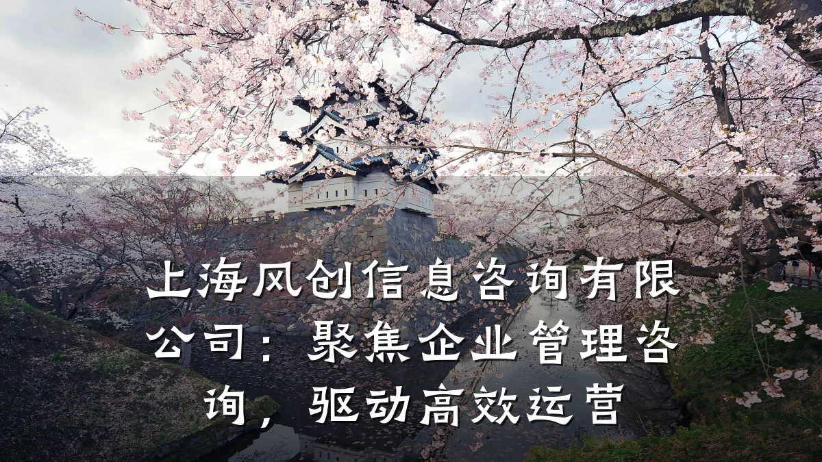 上海风创信息咨询有限公司:聚焦企业管理咨询,驱动高效运营