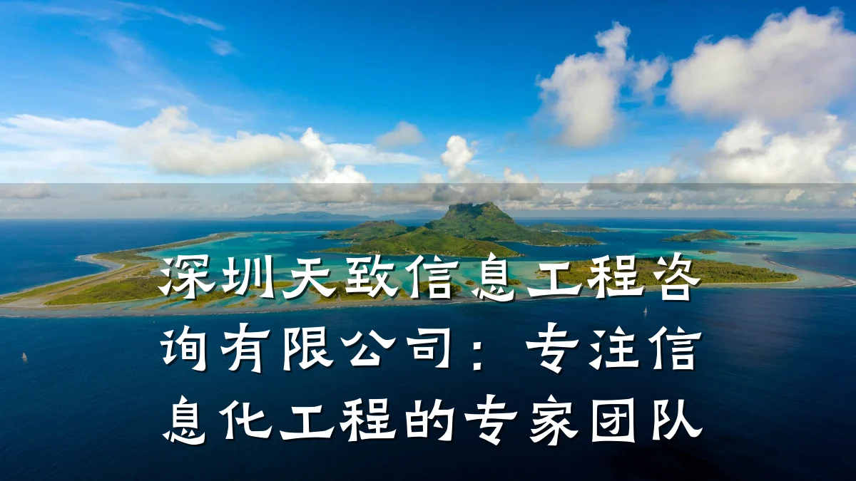 深圳天致信息工程咨询有限公司:专注信息化工程的专家团队