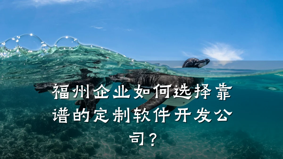 福州企业如何选择靠谱的定制软件开发公司?