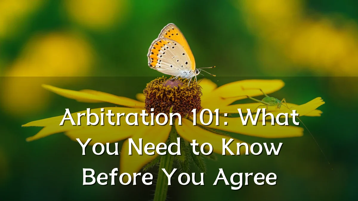 Arbitration 101: What You Need to Know Before You Agree