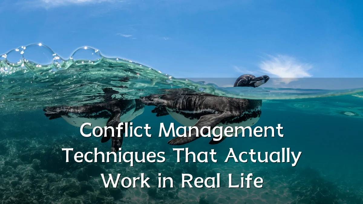 Conflict Management Techniques That Actually Work in Real Life