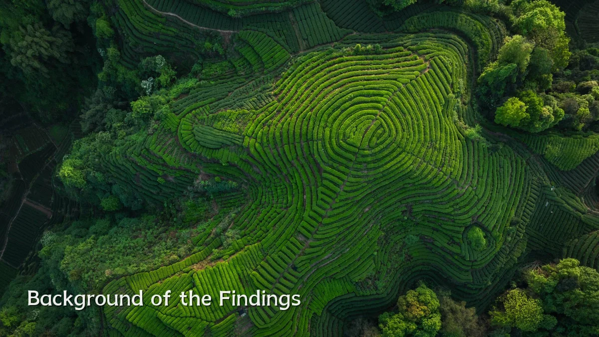 Background of the Findings