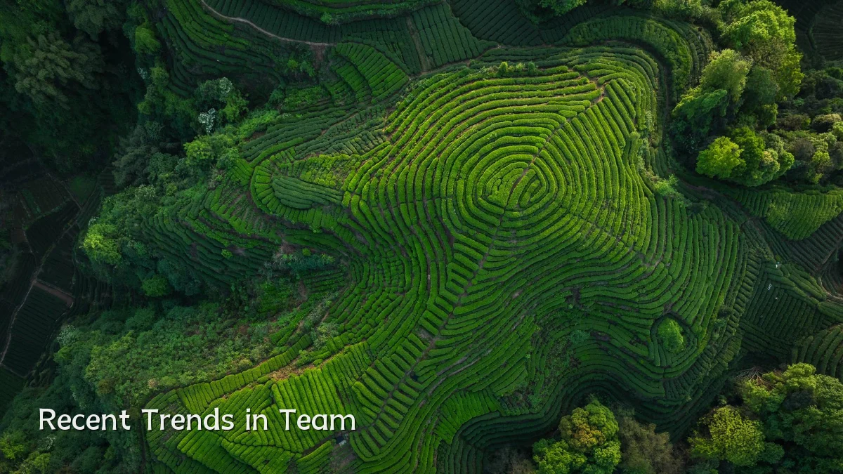 Recent Trends in Team
