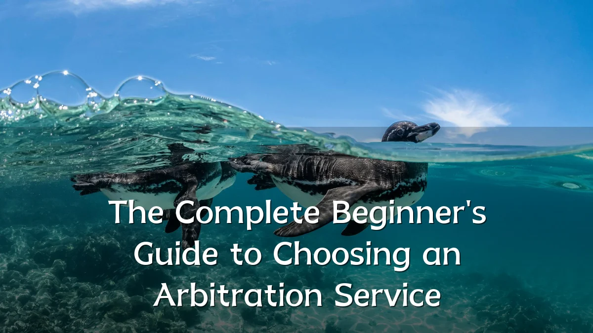 The Complete Beginner's Guide to Choosing an Arbitration Service