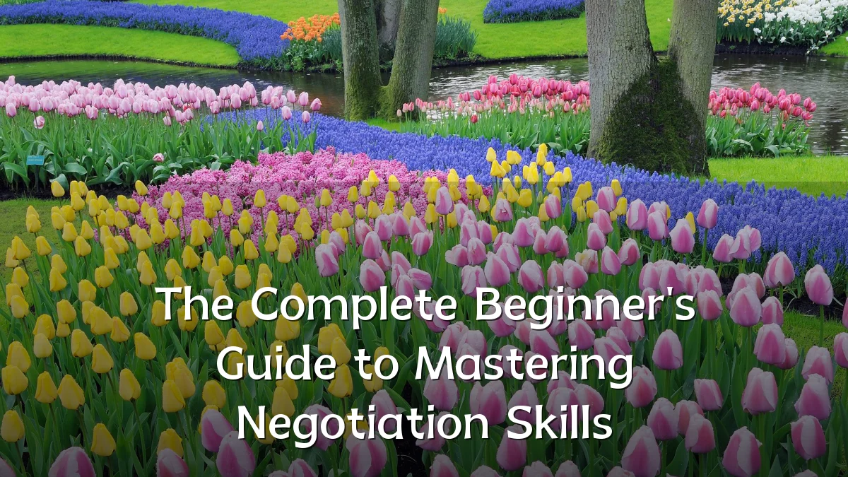 The Complete Beginner's Guide to Mastering Negotiation Skills