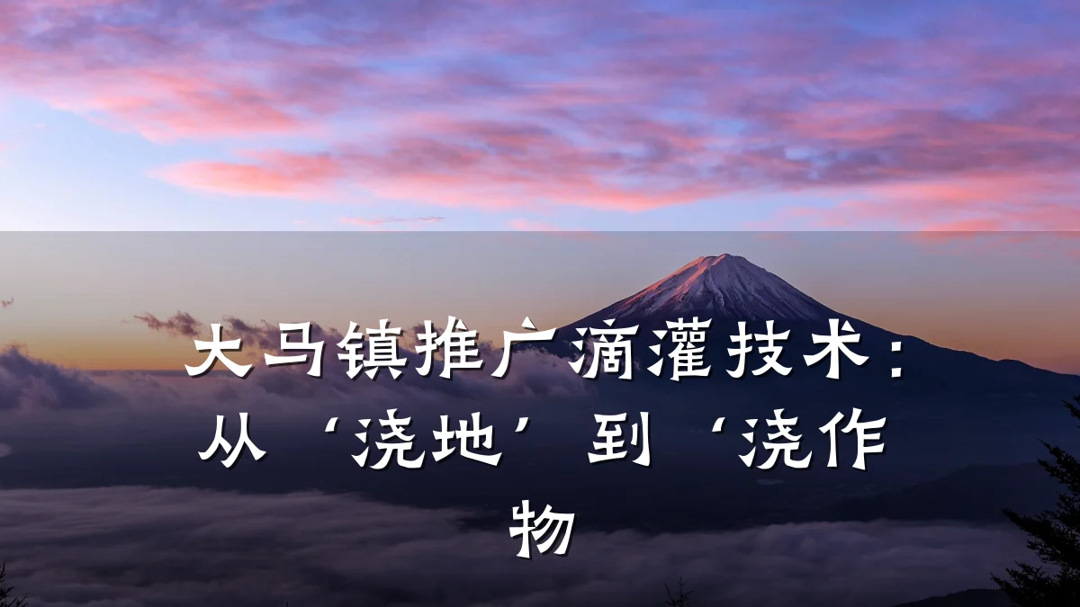 大马镇推广滴灌技术：从‘浇地’到‘浇作物