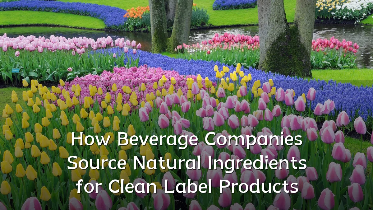 How Beverage Companies Source Natural Ingredients for Clean Label Products