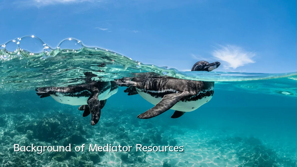 Background of Mediator Resources