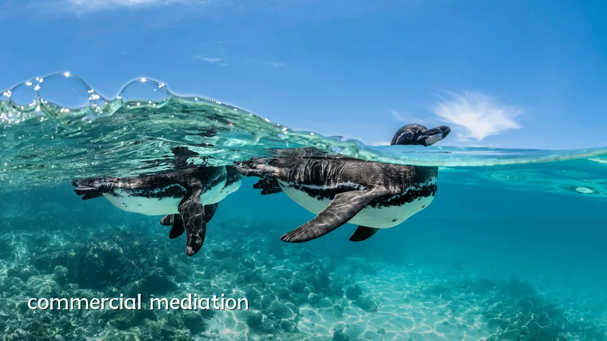 commercial mediation