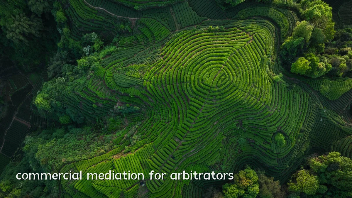 commercial mediation for arbitrators