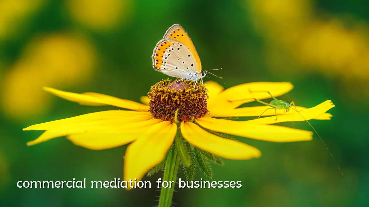 commercial mediation for businesses