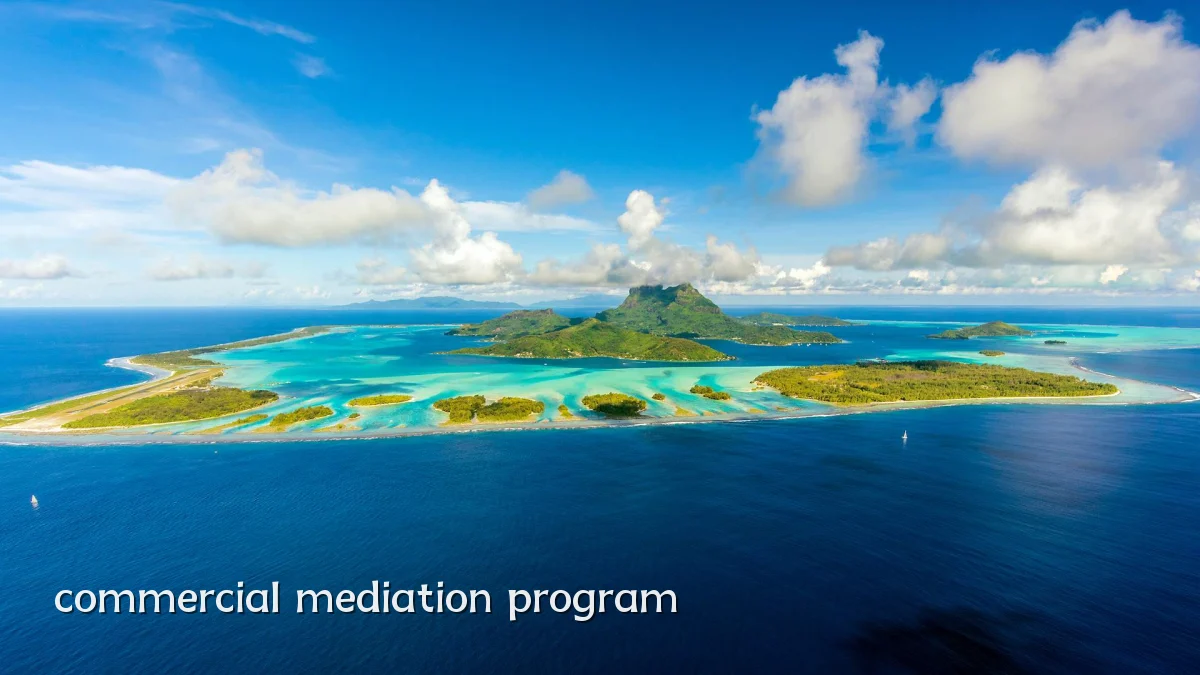 commercial mediation program