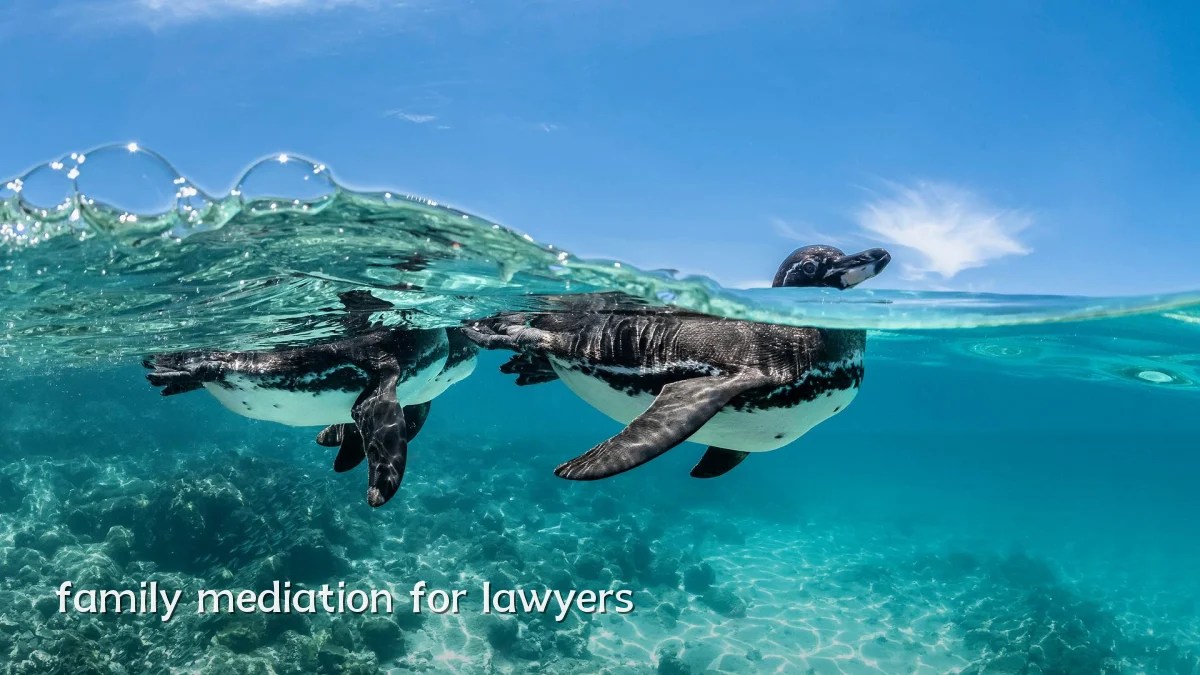 family mediation for lawyers