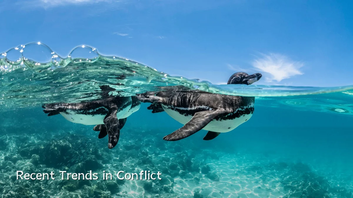 Recent Trends in Conflict