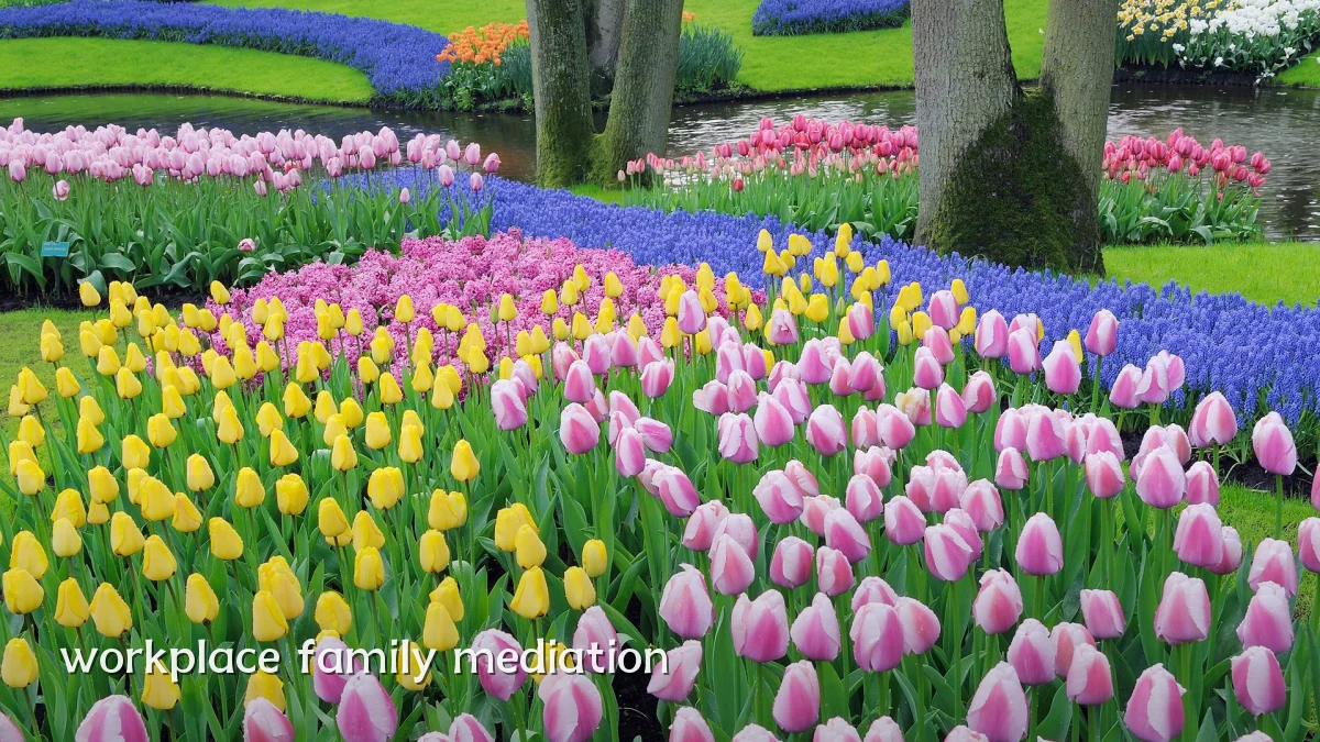 workplace family mediation