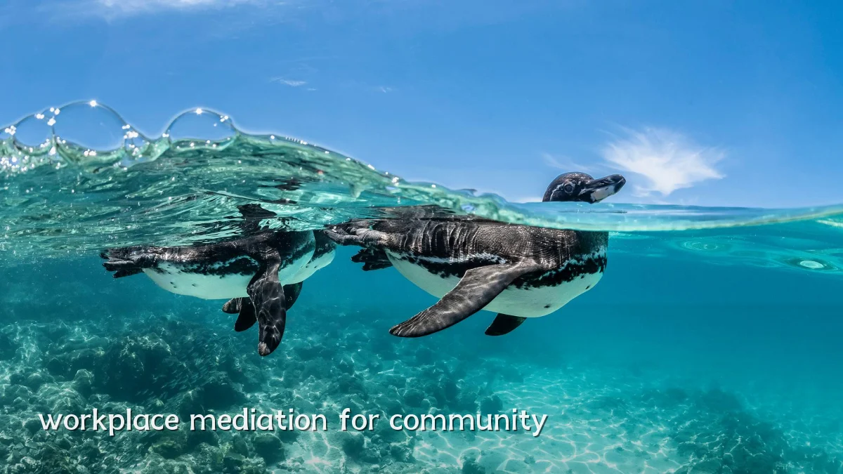 workplace mediation for community