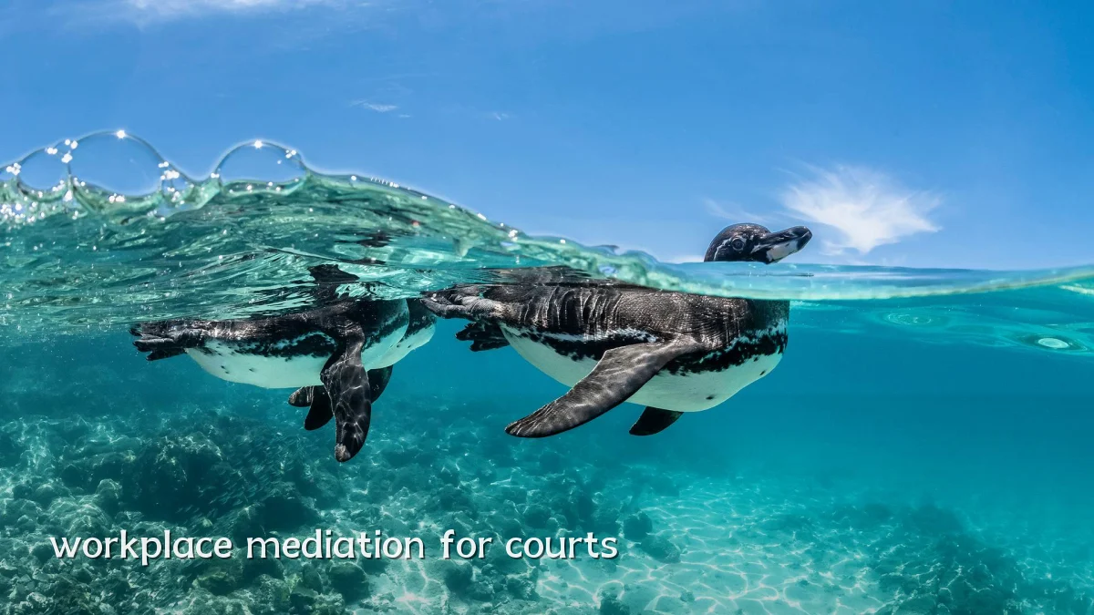 workplace mediation for courts