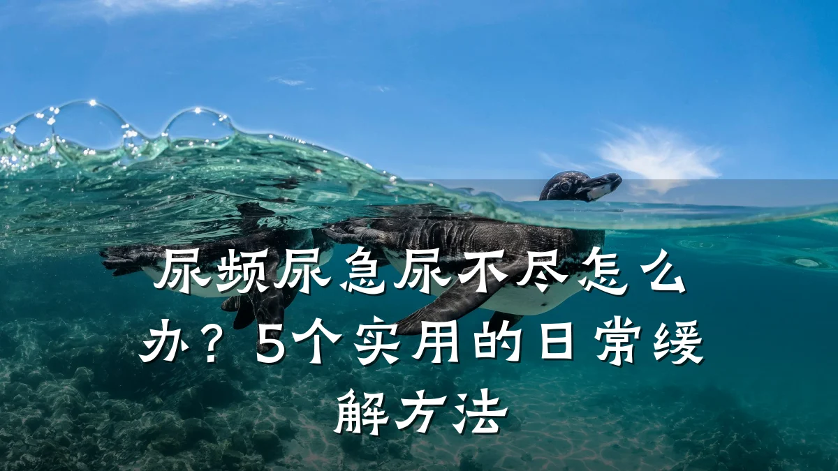 尿频尿急尿不尽怎么办?5个实用的日常缓解方法
