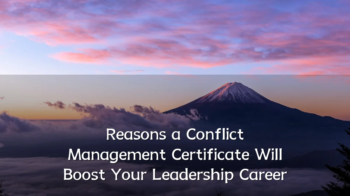 Reasons a Conflict Management Certificate Will Boost Your Leadership Career