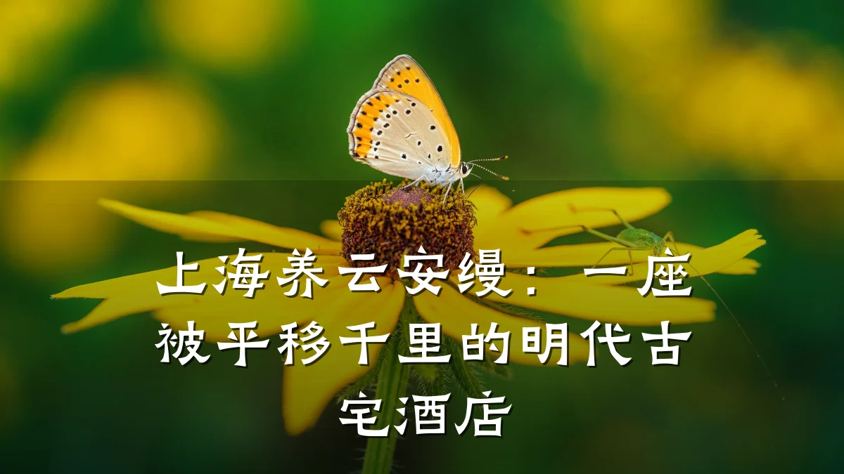 上海养云安缦:一座被平移千里的明代古宅酒店