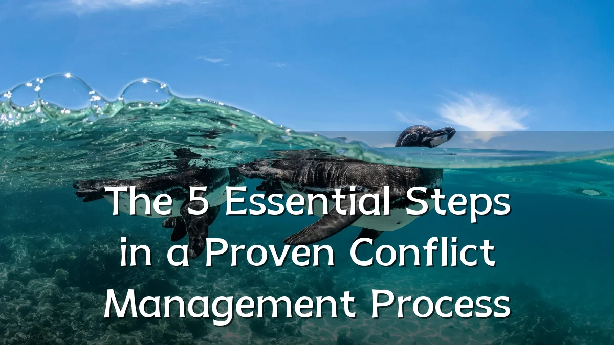 The 5 Essential Steps in a Proven Conflict Management Process