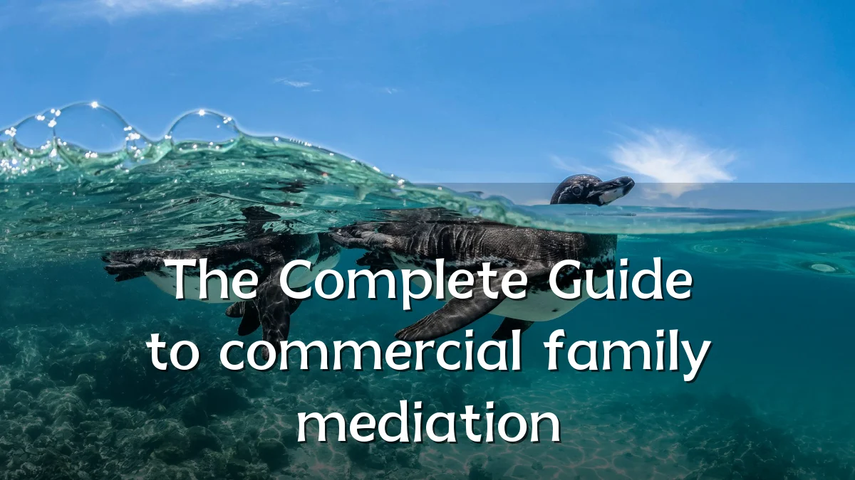 The Complete Guide to commercial family mediation