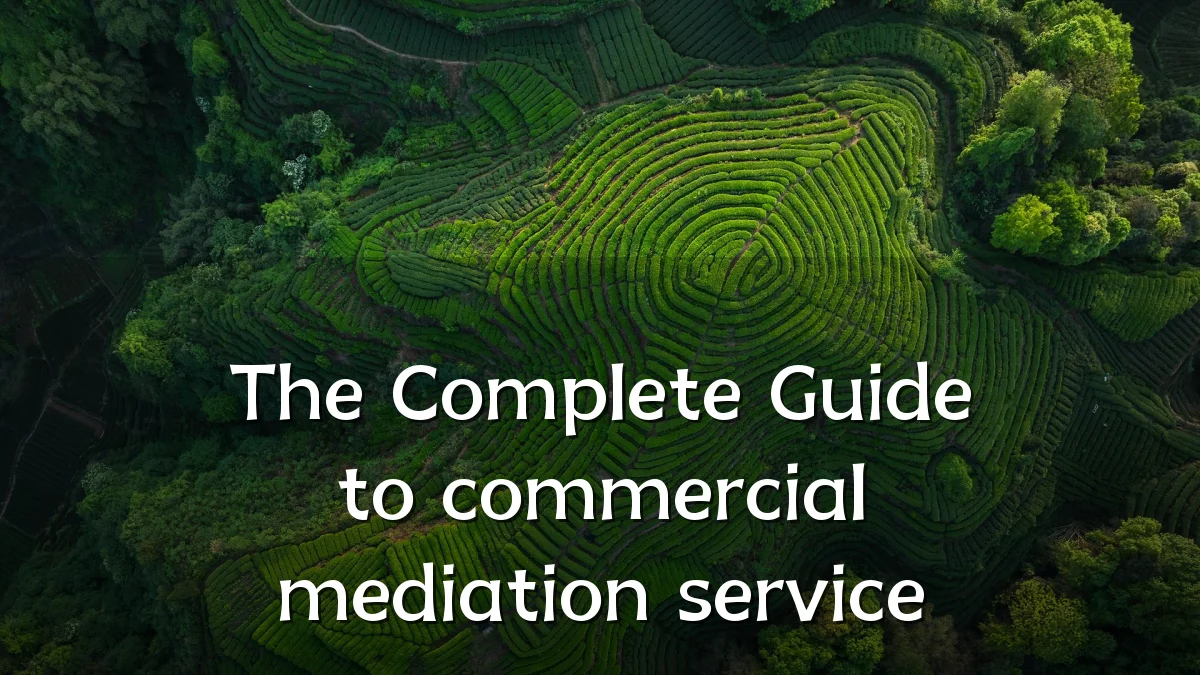 The Complete Guide to commercial mediation service