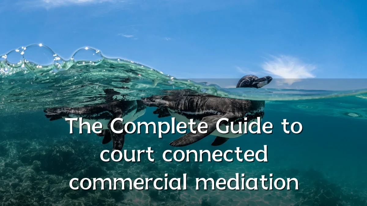 The Complete Guide to court connected commercial mediation