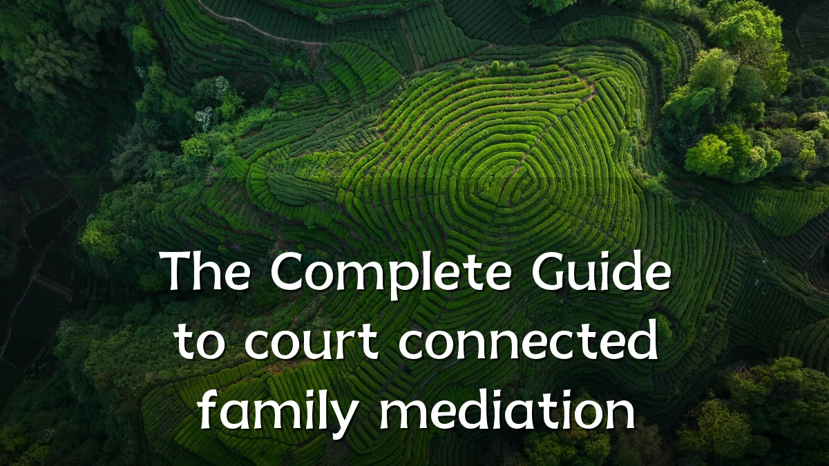 The Complete Guide to court connected family mediation