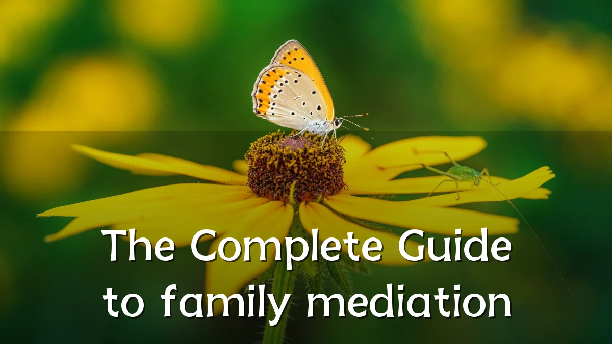 The Complete Guide to family mediation