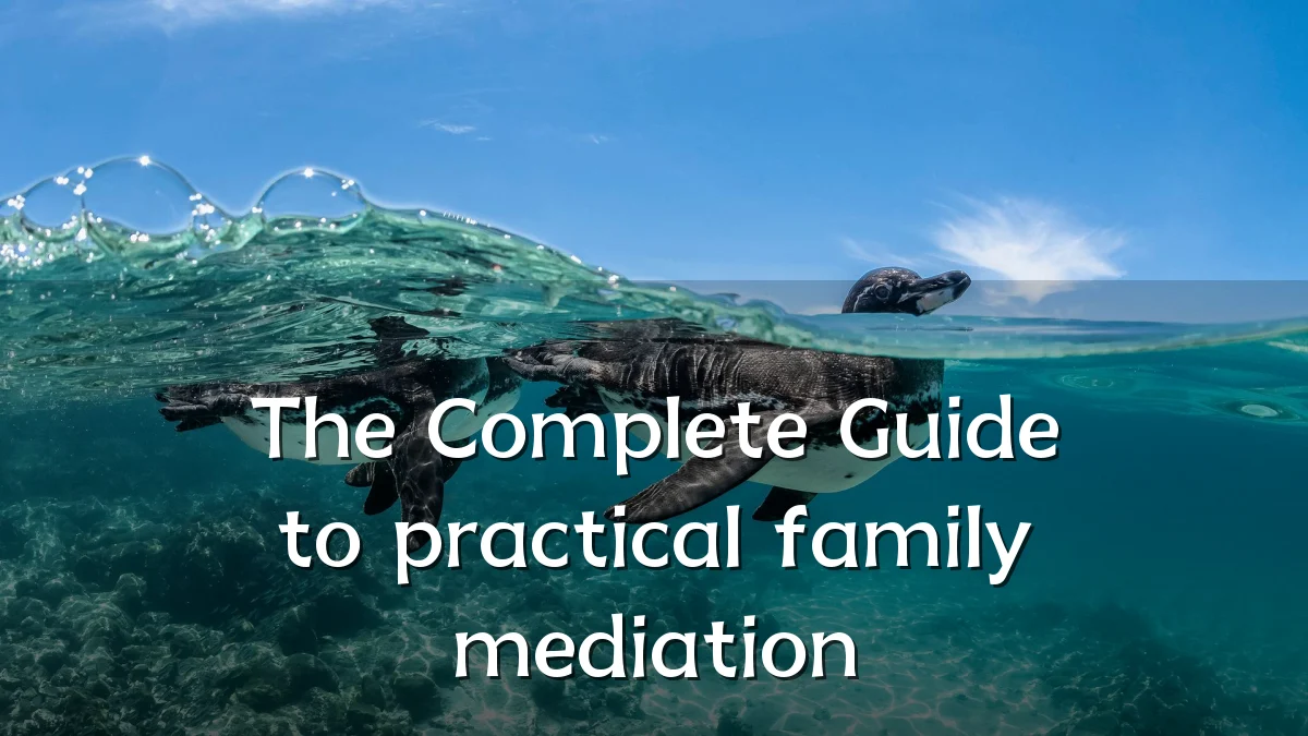 The Complete Guide to practical family mediation