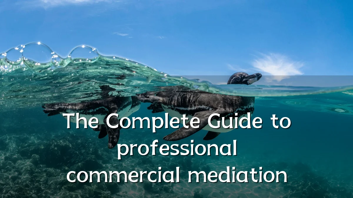 The Complete Guide to professional commercial mediation