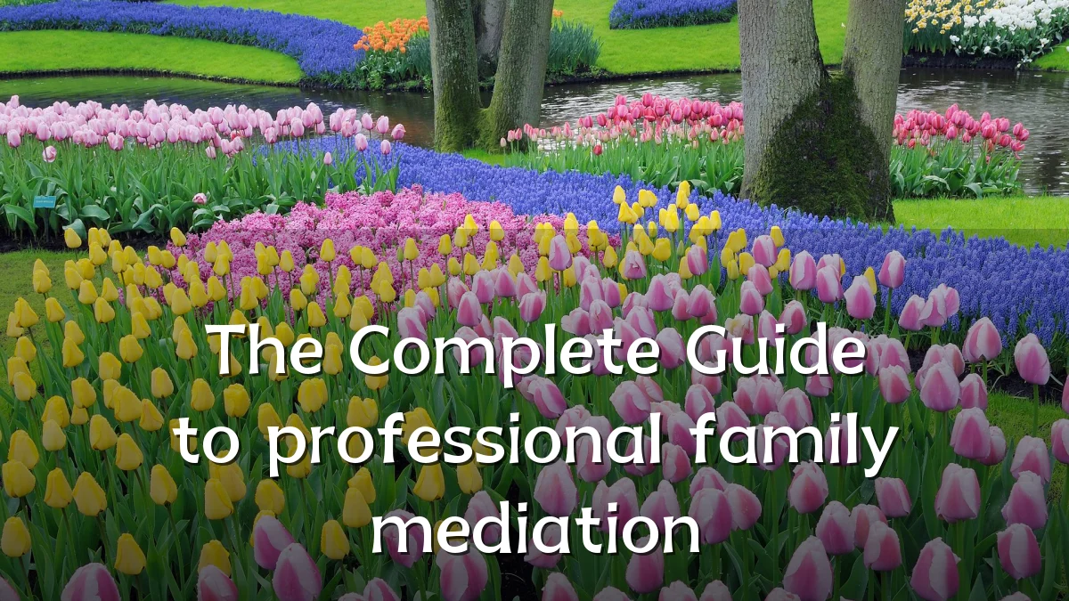 The Complete Guide to professional family mediation
