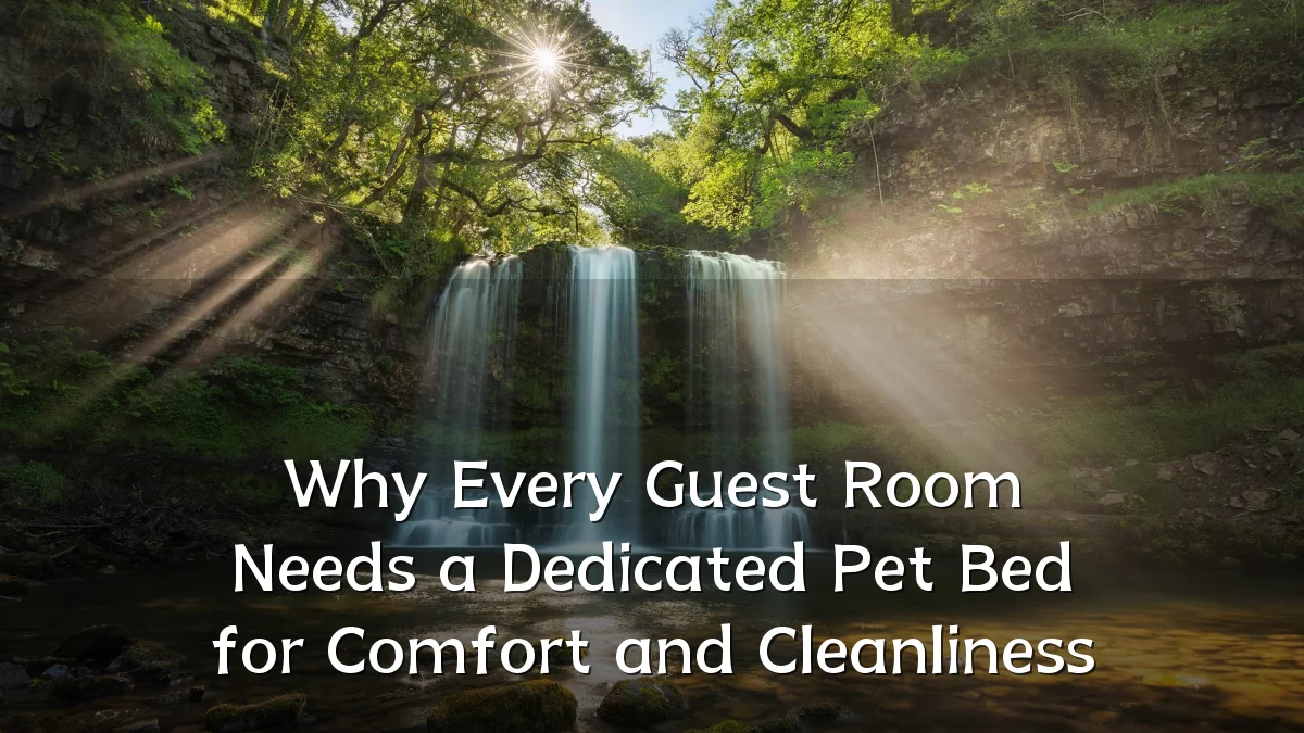 Why Every Guest Room Needs a Dedicated Pet Bed for Comfort and Cleanliness
