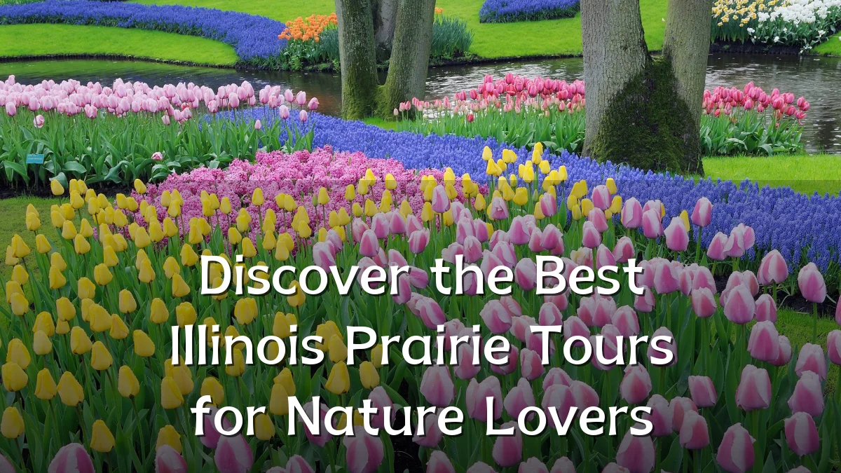 Discover the Best Illinois Prairie Tours for Nature Lovers