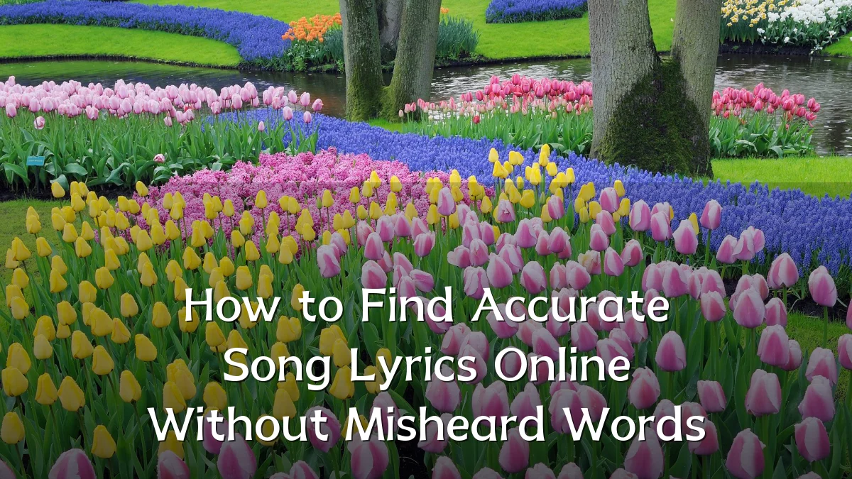 How to Find Accurate Song Lyrics Online Without Misheard Words