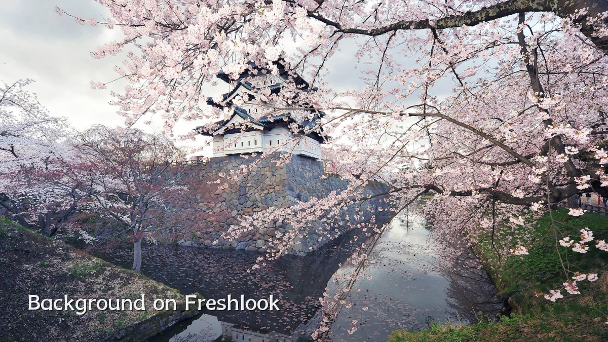 Background on Freshlook