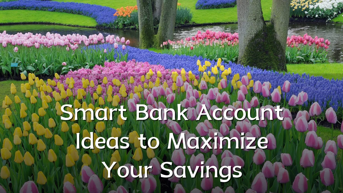 Smart Bank Account Ideas to Maximize Your Savings