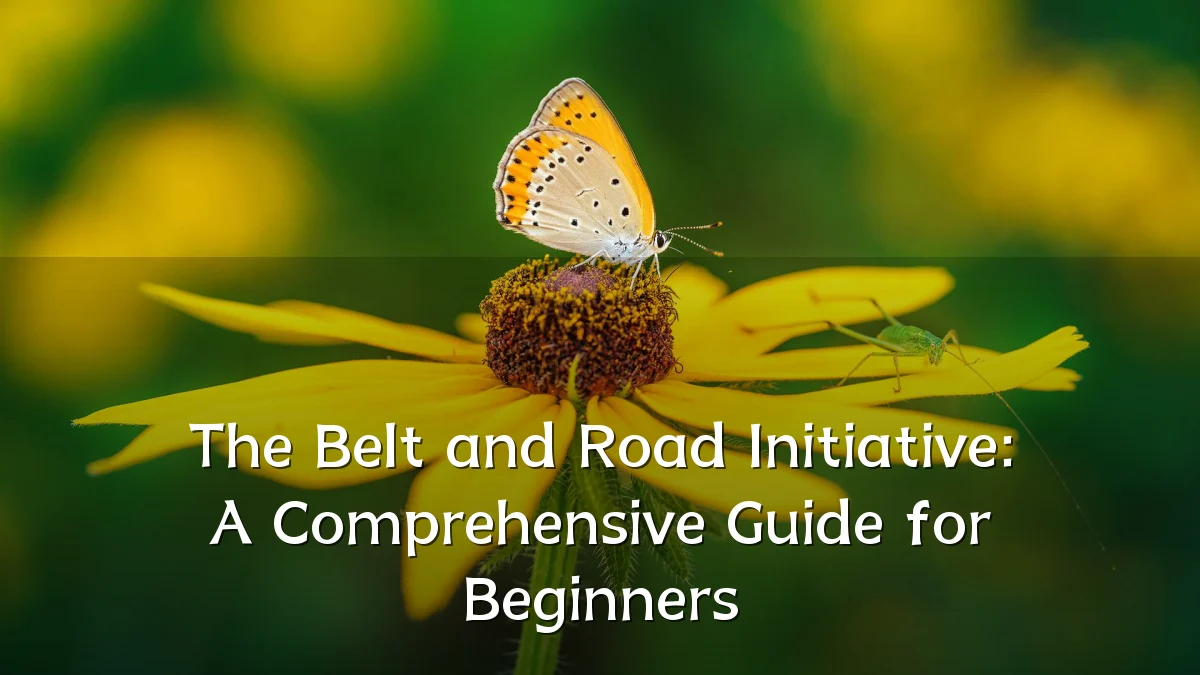 The Belt and Road Initiative: A Comprehensive Guide for Beginners